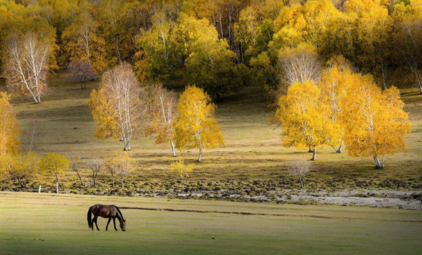 2018秋天你好發(fā)說說短語 你好秋天的圖片句子心情感慨 2018秋天你好發(fā)說說短語 你好秋天的圖片句子心情感慨