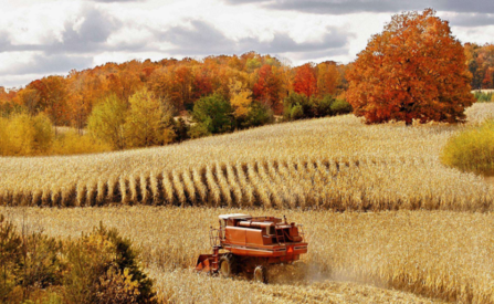 2018秋天你好發(fā)說說短語 你好秋天的圖片句子心情感慨 2018秋天你好發(fā)說說短語 你好秋天的圖片句子心情感慨