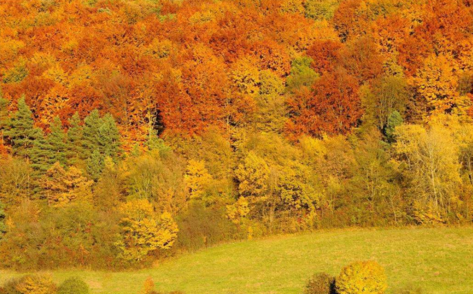 立秋后天氣還熱嗎 立秋后還要熱多久2018