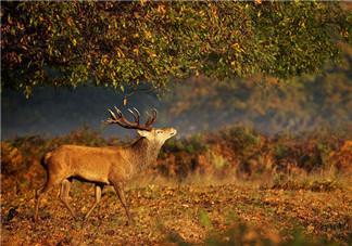 再見(jiàn)夏天的句子心情 2018秋天來(lái)了再見(jiàn)夏天的圖片心情短語(yǔ) 再見(jiàn)夏天的句子心情 2018秋天來(lái)了再見(jiàn)夏天的圖片心情短語(yǔ)
