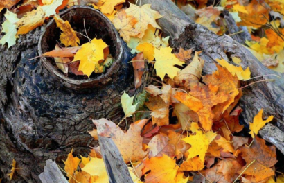 三伏天熱還是秋老虎熱 2018秋老虎有多少天 三伏天熱還是秋老虎熱 2018秋老虎有多少天