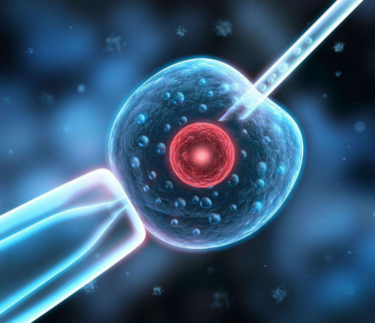 試管嬰兒最多能做多少次 準備試管嬰兒怎么調理