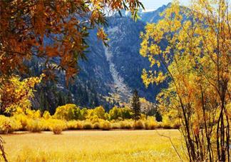 嗨秋天心情感慨 嗨秋天說說朋友圈2018