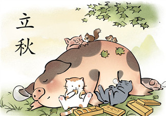 2018貼秋膘搞笑的心情說說 貼秋膘表情包幽默句子短語