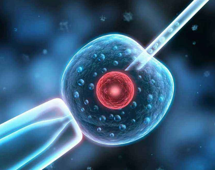 宮外孕切除輸卵管可以做試管嗎 宮外孕切除輸卵管做試管嬰兒成功幾率高嗎 宮外孕切除輸卵管可以做試管嗎 宮外孕切除輸卵管做試管嬰兒成功幾率高嗎