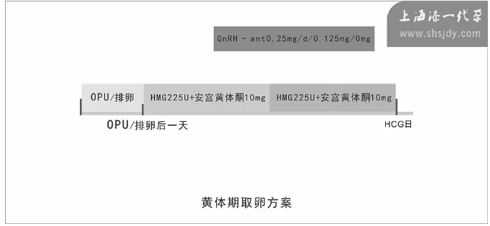 試管嬰兒的成功率怎么計(jì)算 怎么知道試管嬰兒的成功率