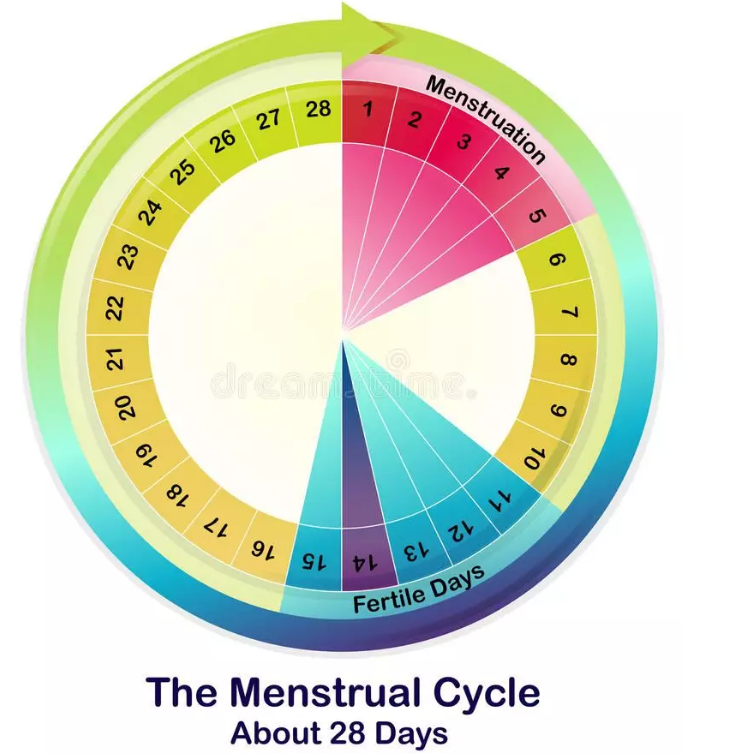 試管嬰兒的成功率怎么計(jì)算 怎么知道試管嬰兒的成功率