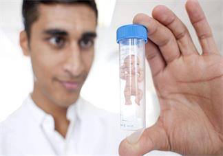 如何提高高齡產婦的試管成功幾率 高齡產婦試管有什么風險