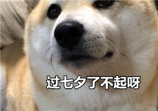  2018七夕單身狗調侃的段子 七夕一個人都怪我過分優秀搞笑的段子說說短語