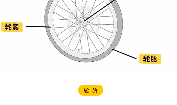 寶寶平衡車花鼓怎么看 培林花鼓和滾珠花鼓哪個好 寶寶平衡車花鼓怎么看 培林花鼓和滾珠花鼓哪個好