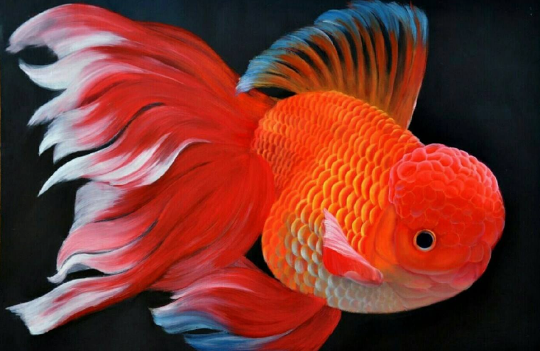 陪孩子養(yǎng)魚的心情說說 和孩子一起養(yǎng)魚的感慨句子說說