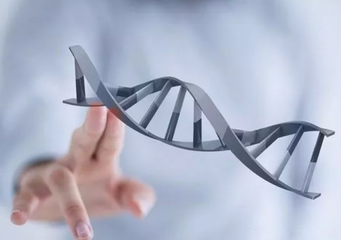 染色體平衡異位可以做試管嬰兒嗎 染色體平衡異位會有哪些疾病