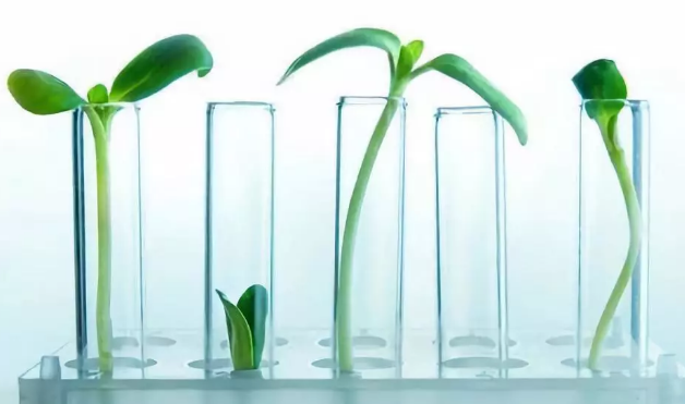 輸卵管結(jié)核可以做試管嬰兒?jiǎn)?輸卵管結(jié)核停藥多久可以做試管嬰兒