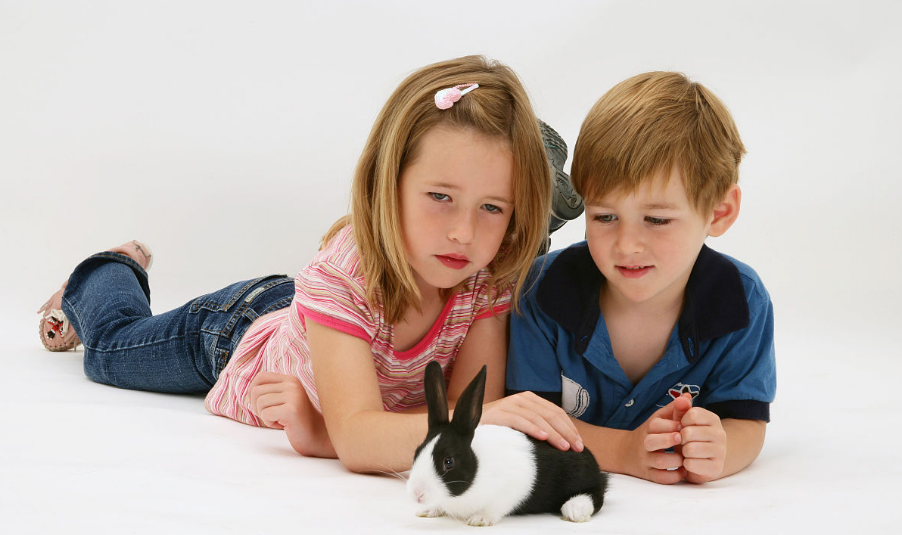 孩子上幼兒園回來說自己餓是什么原因 孩子在幼兒園餓是沒吃飽嗎 孩子上幼兒園回來說自己餓是什么原因 孩子在幼兒園餓是沒吃飽嗎
