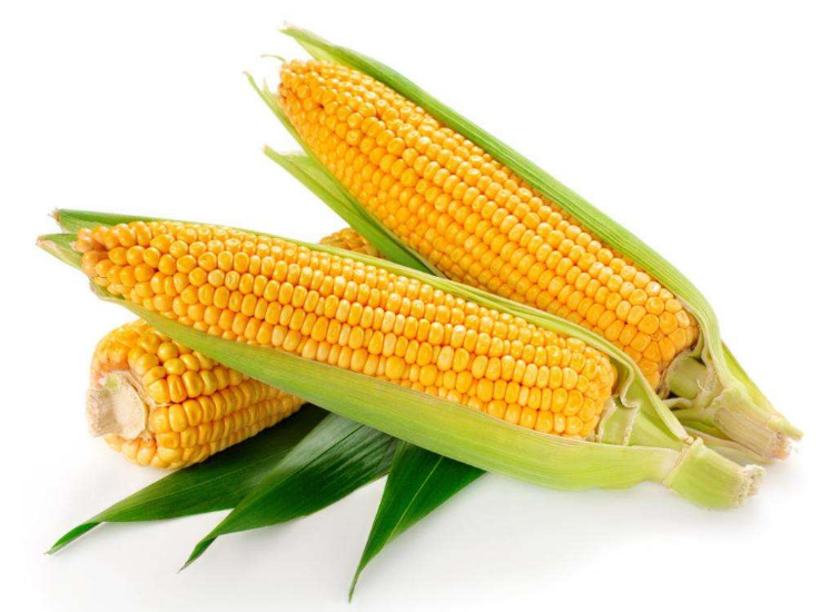 卵巢早衰吃什么可以預(yù)防 擔(dān)心卵巢早衰吃玉米有用嗎