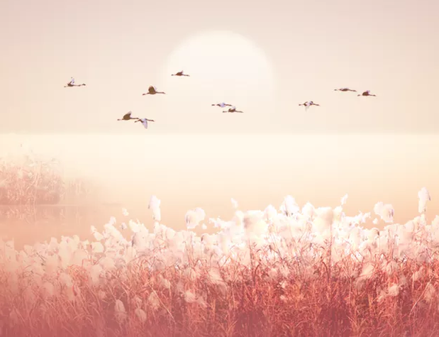 今日處暑說說朋友圈 今日處暑圖片帶字配圖2018