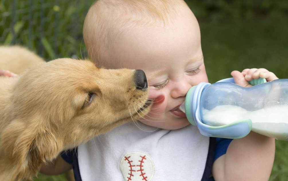 孩子牛奶過敏能吃蛋黃嗎 孩子牛奶過敏藥注意什么