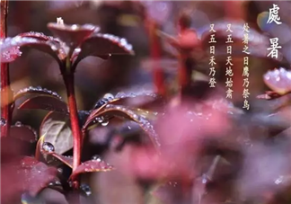 處暑適合做什么 處暑前后有哪些習俗