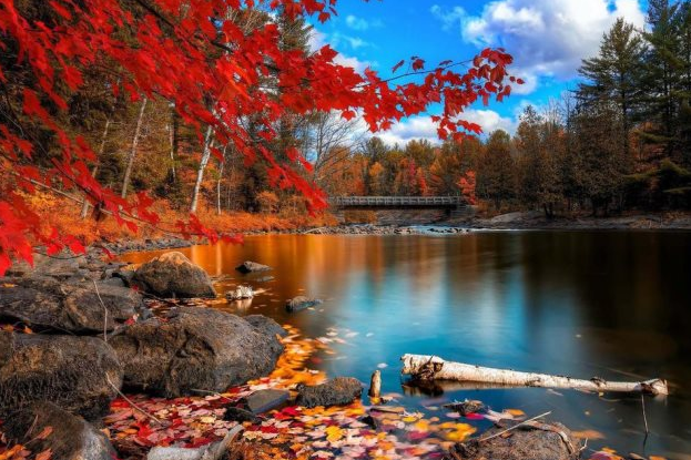 處暑心情早安語錄 處暑發什么說說