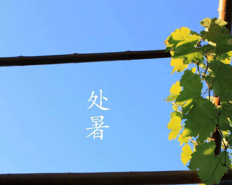 今日處暑的心情說說圖片 2018今日處暑的早安心語