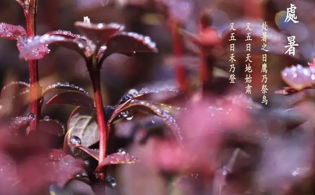 處暑適合做什么 處暑前后有哪些習俗