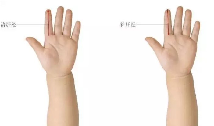 寶寶肝經(jīng)正確手法圖 小兒補肝經(jīng)的推拿手法