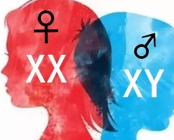 2018年8月24號行房受孕生男生女 8月24號行房生男孩還是女孩