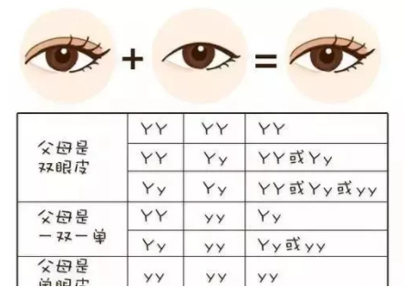 小七短發(fā)撞臉?gòu)寢?孩子是更像父親還是更像母親