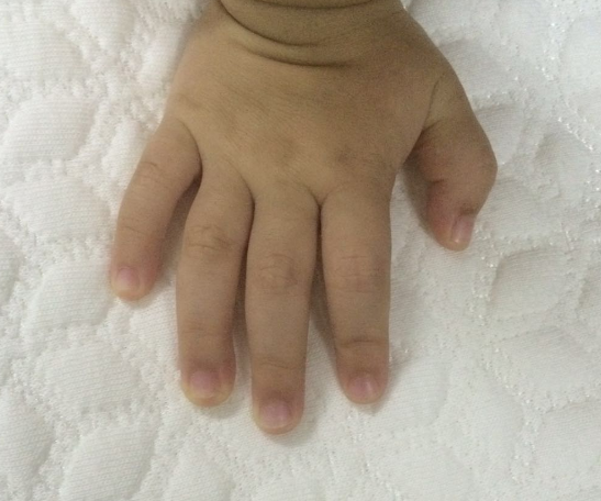 眠趣兒童床墊怎么樣好用嗎 眠趣新品兒童床墊使用測評