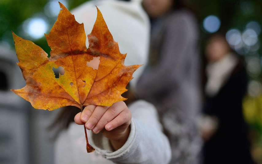 孩子秋天應該春捂秋凍嗎 孩子秋季是不是應該晚點加衣服 孩子秋天應該春捂秋凍嗎 孩子秋季是不是應該晚點加衣服
