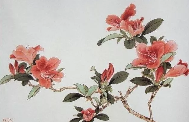 卵巢囊腫怎么辦 卵巢囊腫應該如何調理治療