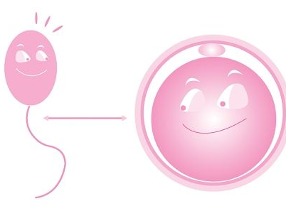 如何改善精子質量 吃什么可以改善精子質量 如何改善精子質量 吃什么可以改善精子質量