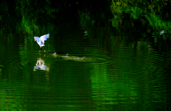 秋季適合帶孩子去哪玩 秋季親子游旅行攻略2018