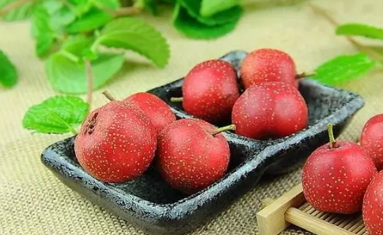 小兒積食咳嗽可以喝焦三仙嗎 九個月寶寶積食了可以喝焦三仙嗎 小兒積食咳嗽可以喝焦三仙嗎 九個月寶寶積食了可以喝焦三仙嗎