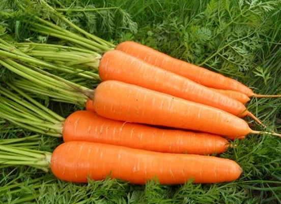 秋季減肥的好處 秋季減肥應該吃什么2018 秋季減肥的好處 秋季減肥應該吃什么2018