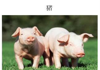 孩子先學(xué)漢字還是拼音好 孩子學(xué)認(rèn)字從哪里入手