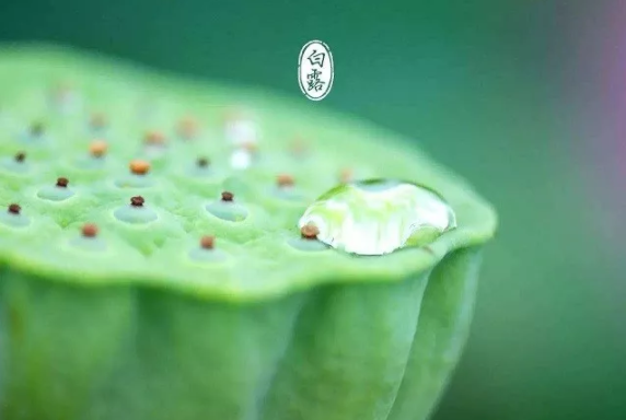 2018白露早安心情短語 白露發什么說說 2018白露早安心情短語 白露發什么說說