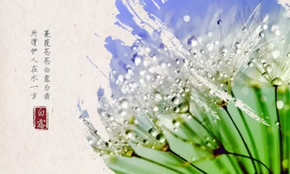 白露相關的古詩詞 白露節氣詩詞賞析