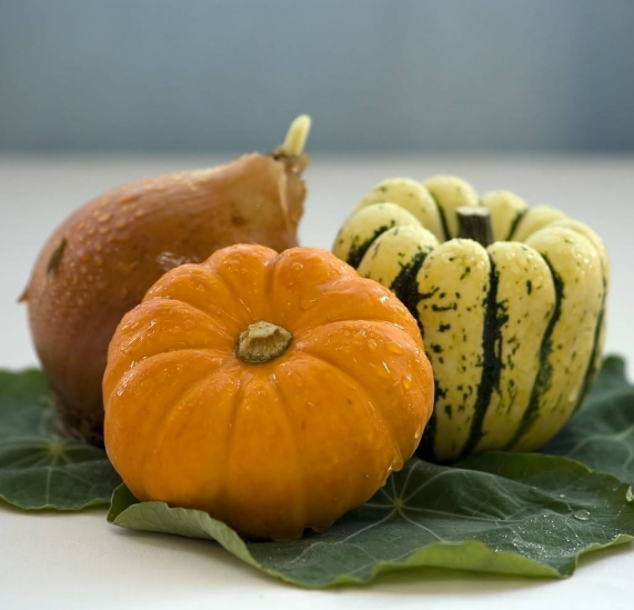 孩子秋季咳嗽是因為秋燥嗎 如何分辨孩子咳嗽是不是秋燥