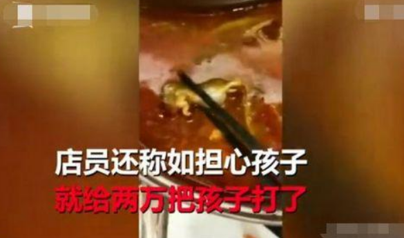 孕婦在呷哺呷哺吃出老鼠怎么回事 孕婦吃火鍋吃出老鼠真的嗎 孕婦在呷哺呷哺吃出老鼠怎么回事 孕婦吃火鍋吃出老鼠真的嗎