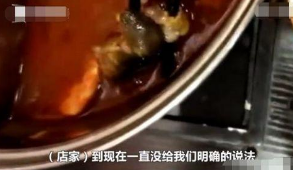 孕婦在呷哺呷哺吃出老鼠怎么回事 孕婦吃火鍋吃出老鼠真的嗎 孕婦在呷哺呷哺吃出老鼠怎么回事 孕婦吃火鍋吃出老鼠真的嗎