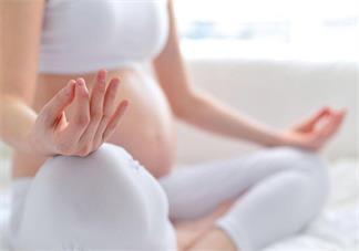 子宮前位比子宮后位容易懷孕嗎 子宮什么位置好懷孕