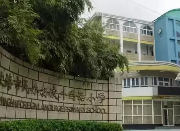 2018上海雞血雙語小學排名 上海外國語雙語小學攻略