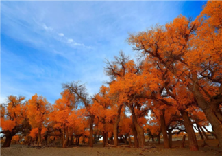 中秋節帶孩子去哪玩好 中秋節親子游出行推薦