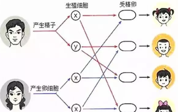 2018年9月13號行房受孕生男生女 9月13號行房生男孩還是女孩 2018年9月13號行房受孕生男生女 9月13號行房生男孩還是女孩