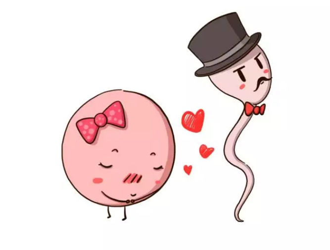 2018年9月16號(hào)行房受孕生男生女 9月16號(hào)行房生男孩還是女孩 2018年9月16號(hào)行房受孕生男生女 9月16號(hào)行房生男孩還是女孩