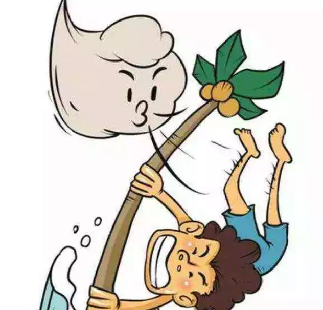 有關(guān)臺(tái)風(fēng)山竹的作文2018 描寫(xiě)臺(tái)風(fēng)山竹的句子100字