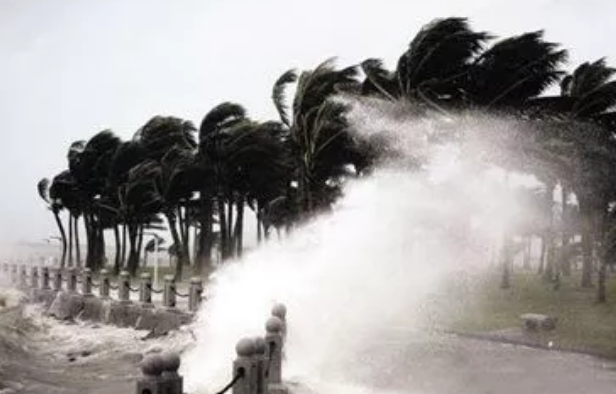 臺風山竹來了作文 描寫臺風過后作文2018