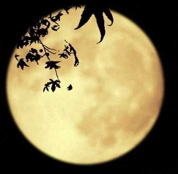 中秋節相關的古詩詞有哪些 中秋古詩詞賞析