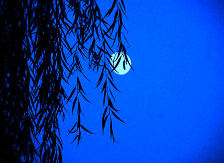 中秋節相關的古詩詞有哪些 中秋古詩詞賞析